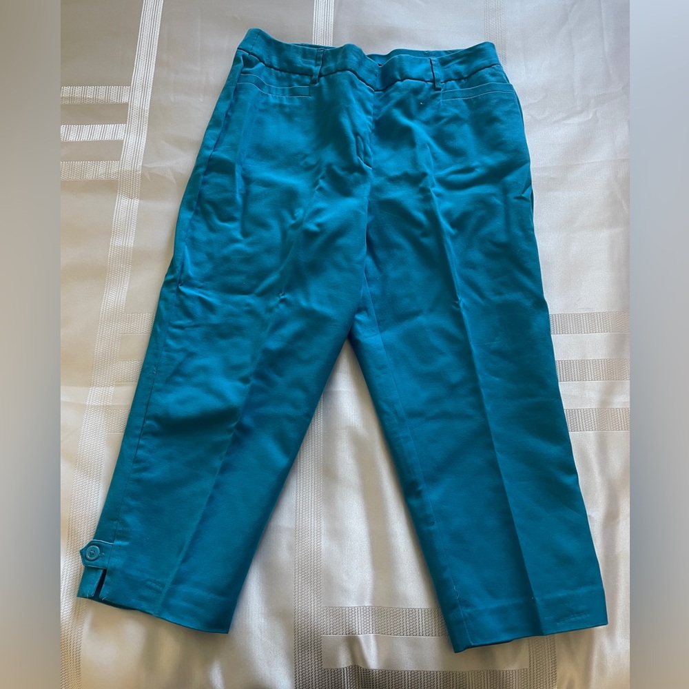 Like New, Counterparts Blue Relaxed Fit Clam Diggers